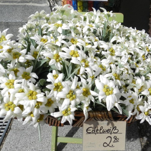 Edelweiss docoration