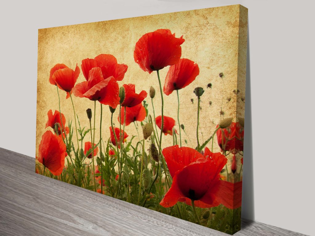 Red Poppy Flower Art