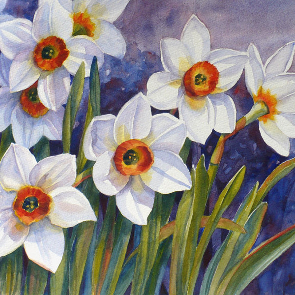 Daffodil flower art