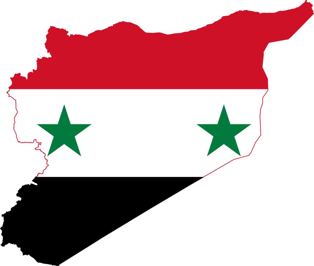 National flower of Syria