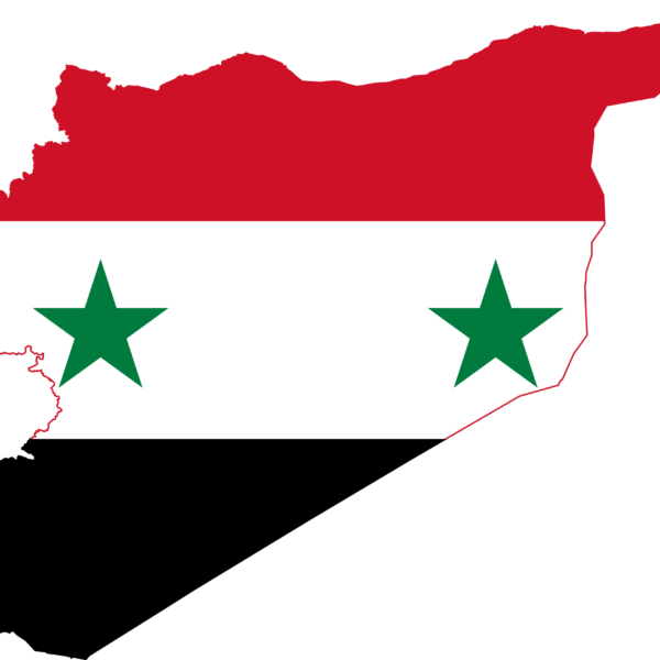 National flower of Syria