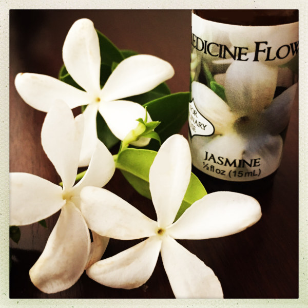 National Flower of Syria medicines