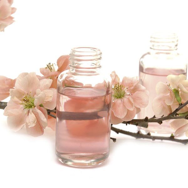 Plum Blossom: National Flower of Taiwan