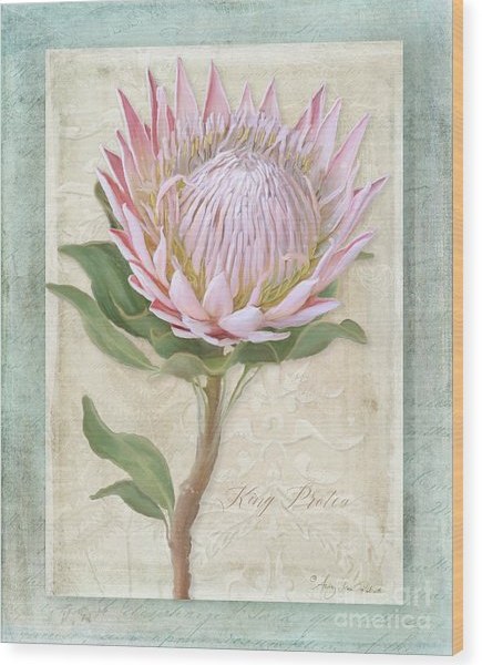 Protea cynaroides Petals