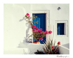 Bougainvillea art work