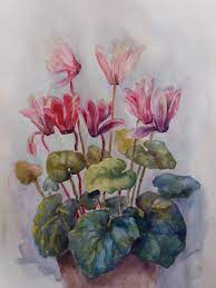 Cyclamen Flower Art