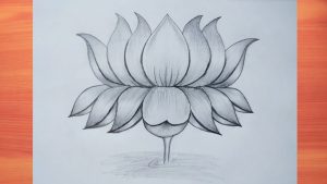 Lotus art