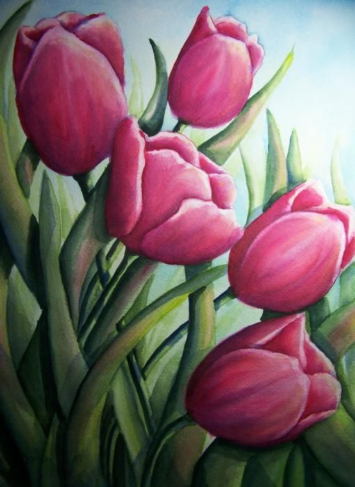 national-flower-of-hungary-tulips-floral-of-hungary-national